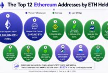 **أكبر 12 محفظة لإيثريوم تكشف عن 6 منصات تداول تسيطر على 6.6 مليون إيثريوم**