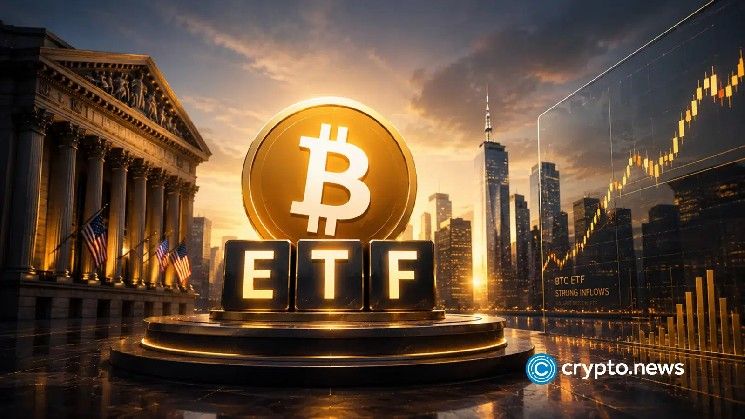 هل يستمر سعر البيتكوين في الصعود أم يخضع لتدفقات صناديق الاستثمار المتداولة مرة أخرى؟