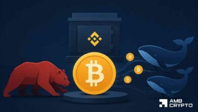الحيتان تشتري 19 ألف بيتكوين – هل يستطيع 61 ألف دولار إبقاء التعافي حياً؟