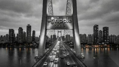 تحولات جذرية في الأوراق المالية: شركتا DTCC وRipple Prime تخوضان غمار الترميز