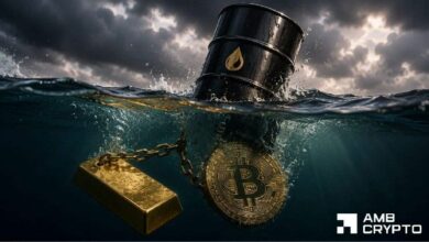 لماذا يتوقع المحلل أن صندوق بيتكوين المتداول سيتبع نمط "النصر والألم" للذهب