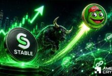 **STABLE يرتفع بنسبة 16% مع إطلاق StableSwap الذي يحفز 167 ألف معاملة: هل 0.05 دولار في الأفق؟**
