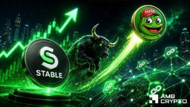 **STABLE يرتفع بنسبة 16% مع إطلاق StableSwap الذي يحفز 167 ألف معاملة: هل 0.05 دولار في الأفق؟**