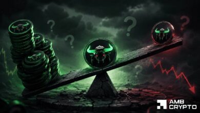 **ارتفاع عملة ANSEM بنسبة 13% مع تضاعف عدد الحائزين – هل تواصل الميمكوين صعودها؟**