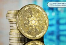حيتان كاردانو ترفع حيازة ADA إلى أعلى مستوى في 3.5 عام مع شراء قوي أثناء الانخفاض