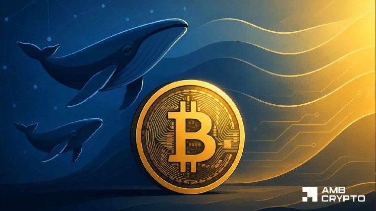 لماذا لا يضمن ربحية 55% من معروض بيتكوين تعافيًا كاملاً لـ BTC بعد