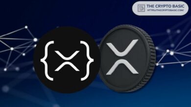 **سجل XRP Ledger أكثر من مليون معاملة وكيل ذكي مع ازدهار المدفوعات المستقلة**