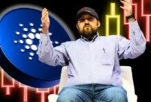 "تشارلز هوسكينسون: إذا تمكنت أمريكا من تجاوز هذه الفوضى، فإن العملات الرقمية ستزدهر"