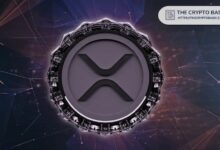 شركة Evernorth المدعومة من Ripple تسجل علامة تجارية في جزر كايمان مع تقدم مبادرة خزانة XRP