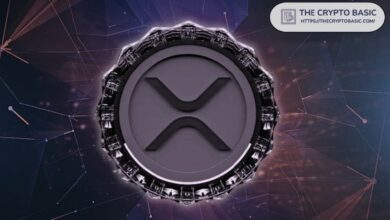 شركة Evernorth المدعومة من Ripple تسجل علامة تجارية في جزر كايمان مع تقدم مبادرة خزانة XRP