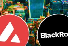 ما هو صندوق BUIDL من BlackRock على Avalanche (AVAX)؟