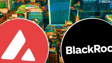 ما هو صندوق BUIDL من BlackRock على Avalanche (AVAX)؟