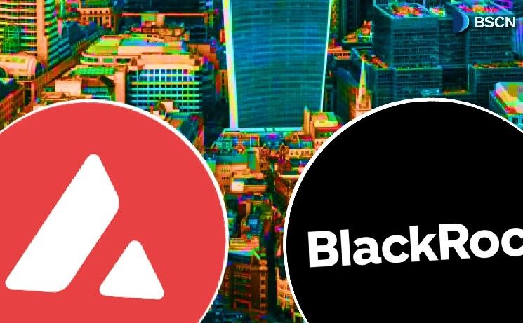 ما هو صندوق BUIDL من BlackRock على Avalanche (AVAX)؟