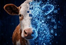 المزارعون البرازيليون يحوّلون الأبقار إلى رموز رقمية للحصول على قروض زراعية—والنتائج مبشرة