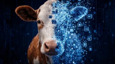 المزارعون البرازيليون يحوّلون الأبقار إلى رموز رقمية للحصول على قروض زراعية—والنتائج مبشرة