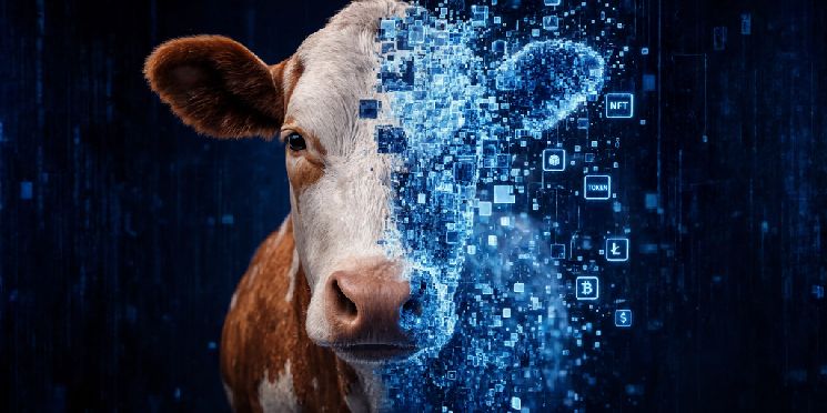 المزارعون البرازيليون يحوّلون الأبقار إلى رموز رقمية للحصول على قروض زراعية—والنتائج مبشرة