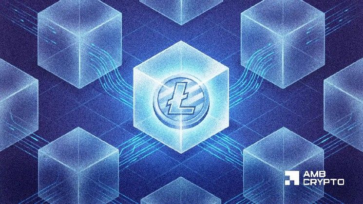 لايتكوين: 140 مليون معاملة اختبارية لـ LitVM – هل تشعل نمو الإيفي (DeFi) لـ LTC؟