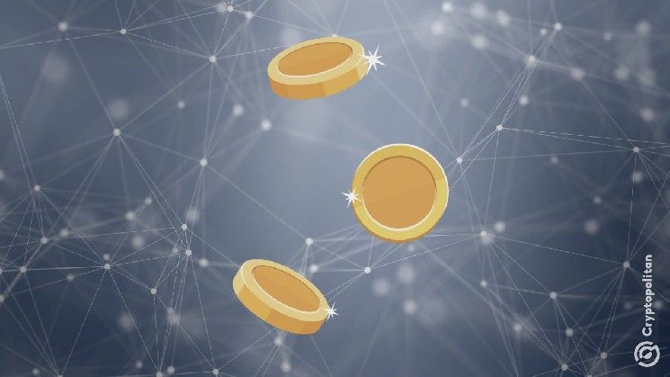 شركة DeFi Dev Corp تسلم السيطرة على عملة DisclaimerCoin إلى الرئيس التنفيذي لـ ZeroStack