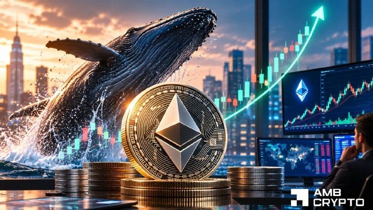 "إيثيريوم يحصل على ثقة آرثر هايز بـ 2.5 مليون دولار – 2,145 دولار في الأفق"
