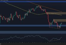 تحليل سعر البيتكوين: هل يستعد BTC لموجة صاعدة أخرى الأسبوع المقبل؟