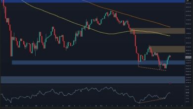 تحليل سعر البيتكوين: هل يستعد BTC لموجة صاعدة أخرى الأسبوع المقبل؟