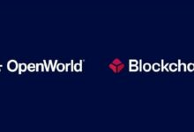 **بلوكتشين.كوم تستثمر في OpenWorld لتوسيع ترميز الأصول الواقعية والخدمات المؤسسية**