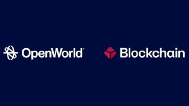 **بلوكتشين.كوم تستثمر في OpenWorld لتوسيع ترميز الأصول الواقعية والخدمات المؤسسية**