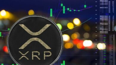 3 مقاييس رئيسية لشبكة XRP Ledger تتراجع، مما يعيق أي إمكانية لتعافي السوق