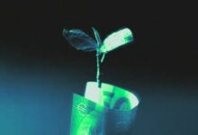 برنامج Reflect لاسترداد USDC+ ينطلق بعد اختراقات كبرى تضرب Drift و Humanity Protocol