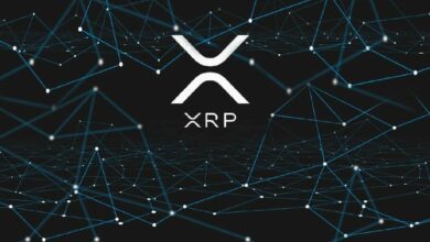 ارتفاع المدفوعات على منصة XRP Ledger بنسبة 1,000% يتحول إلى لا شيء: تحليل الأسباب الكامنة وراء ذلك