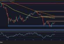 تحليل سعر البيتكوين: هل يمكن أن يكون الانسحاب الأخير لـ BTC إشارة صعودية طويلة الأمد؟