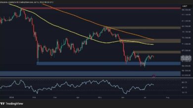 تحليل سعر البيتكوين: هل يمكن أن يكون الانسحاب الأخير لـ BTC إشارة صعودية طويلة الأمد؟