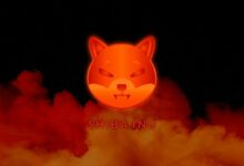 لماذا فشل صعود Shiba Inu (SHIB): بيانات السلسلة تكشف كيف صرّف 52 حوتًا أموال التجزئة