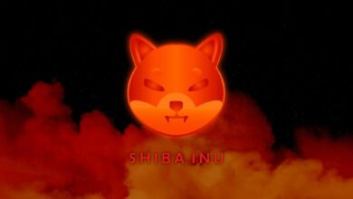 لماذا فشل صعود Shiba Inu (SHIB): بيانات السلسلة تكشف كيف صرّف 52 حوتًا أموال التجزئة