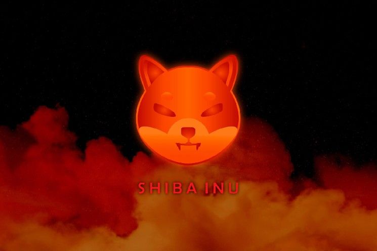 لماذا فشل صعود Shiba Inu (SHIB): بيانات السلسلة تكشف كيف صرّف 52 حوتًا أموال التجزئة