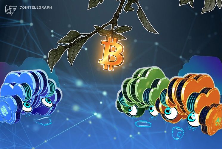 شركة إمبيري ديجيتال لحوزة البيتكوين تستثمر 20 مليون دولار في مطور مراكز البيانات للذكاء الاصطناعي كاردينال داتا باور