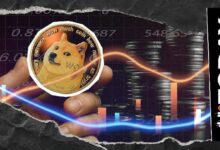 عنوان المترجم: **تصفير عمليات تصفية مراكز بيع "DOGE" خلال 12 ساعة: أين اختفت الدببة؟**
