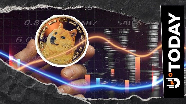 عنوان المترجم: **تصفير عمليات تصفية مراكز بيع "DOGE" خلال 12 ساعة: أين اختفت الدببة؟**