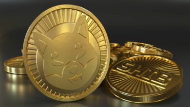 هل يمكن لسعر عملة Shiba Inu مواصلة الصعود مع خروج تريليون رمز من البورصات؟