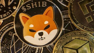 تسجيل تدفق خارجي قياسي لـ Shiba Inu (SHIB) بنسبة +100% مع عودة التقلبات إلى السوق