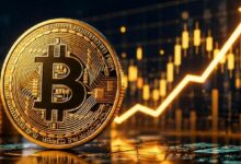 الرئيس التنفيذي لـ "Bitwise": بيتكوين على أعتاب ارتفاع جديد بعد تعافي السوق السريع