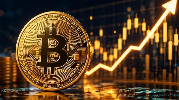 الرئيس التنفيذي لـ "Bitwise": بيتكوين على أعتاب ارتفاع جديد بعد تعافي السوق السريع