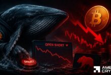 الحوت الضخم يراهن على انخفاض البيتكوين بـ31 مليون دولار – هل يعود السعر إلى 60 ألف دولار؟