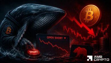 الحوت الضخم يراهن على انخفاض البيتكوين بـ31 مليون دولار – هل يعود السعر إلى 60 ألف دولار؟