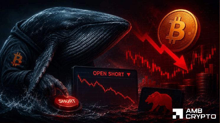 الحوت الضخم يراهن على انخفاض البيتكوين بـ31 مليون دولار – هل يعود السعر إلى 60 ألف دولار؟
