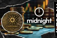 تحديث استغلال 515 مليون توكن NIGHT: 7 بورصات كبرى تجمّد الأموال المسروقة لشبكة الخصوصية كاردانو
