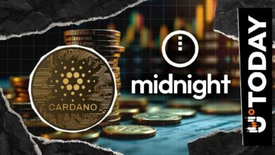تحديث استغلال 515 مليون توكن NIGHT: 7 بورصات كبرى تجمّد الأموال المسروقة لشبكة الخصوصية كاردانو