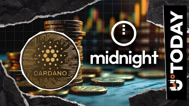 تحديث استغلال 515 مليون توكن NIGHT: 7 بورصات كبرى تجمّد الأموال المسروقة لشبكة الخصوصية كاردانو