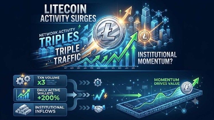 نشاط شبكة Litecoin يتضاعف ثلاث مرات: هل يستطيع LTC استغلال الزخم المؤسسي لتحقيق قمم جديدة؟