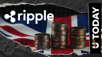 "'دعنا ننطلق': رئيس ريبل في المملكة المتحدة يحتفل بإنجاز أوروبي قد يعزز XRP"